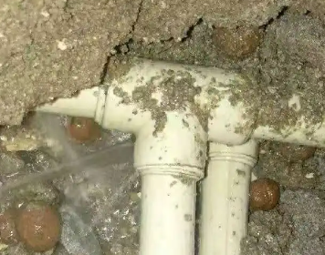 延津测漏水多少钱