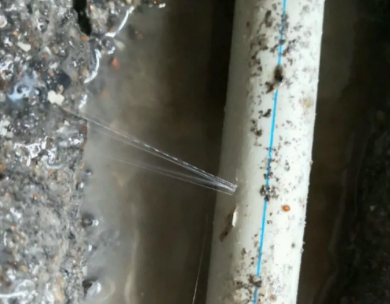 延津测漏水哪家好