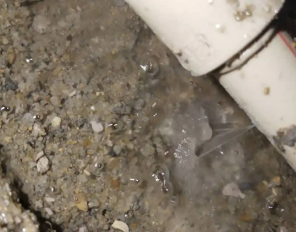 延津测漏水电话号码