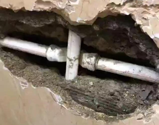 延津测漏水哪家好