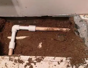 延津测漏水哪家好