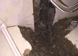 延津卫生间测漏水哪家好