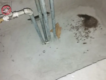 延津卫生间测漏水价格明细