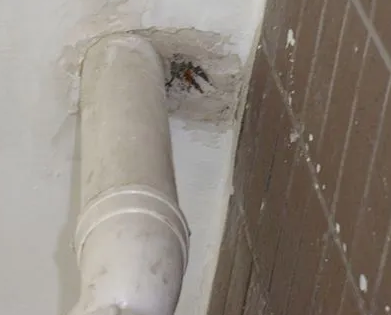 延津漏水检测哪家好